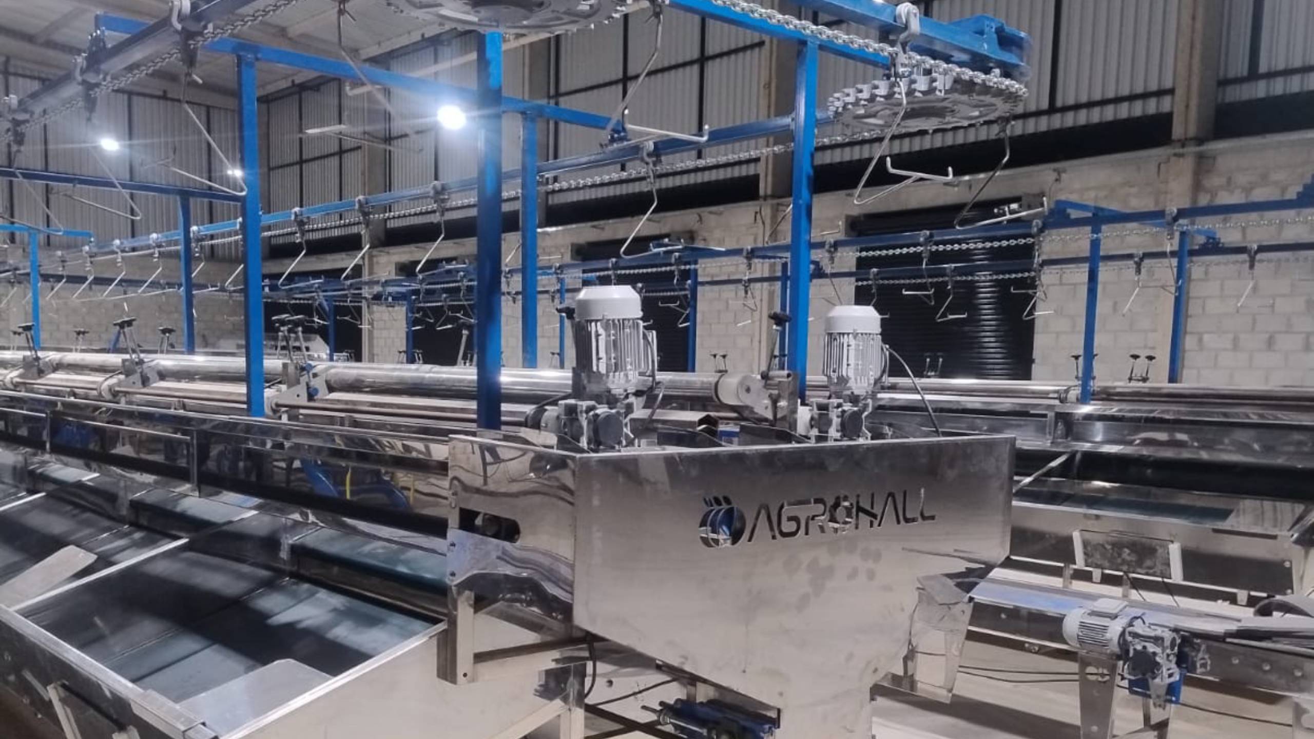 Máquina de beneficiamento de limão para exportação