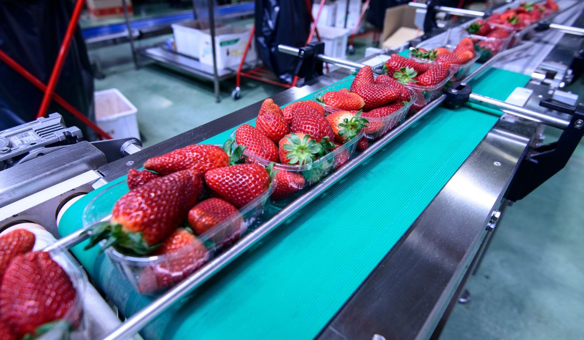 Automação pós-colheita benefícios