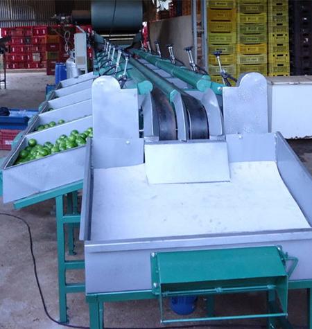 Conheça a máquina de beneficiar limão
