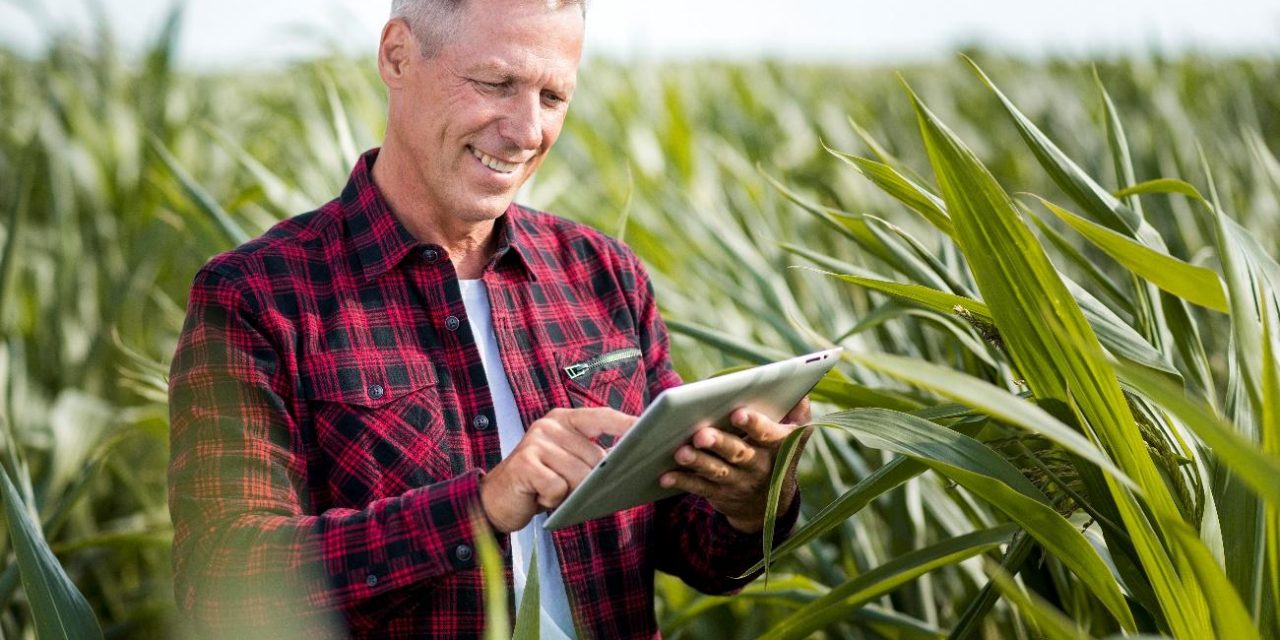 Agricultura 4.0: quais são os desafios enfrentados pelos produtores?