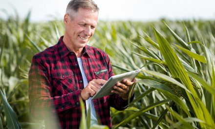 Agricultura 4.0: quais são os desafios enfrentados pelos produtores?