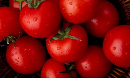 Como lavar o tomate corretamente? Dicas simples para remover resíduos e bactérias