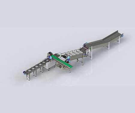 O guia definitivo para escolher a melhor embaladora de frutas para o seu negócio