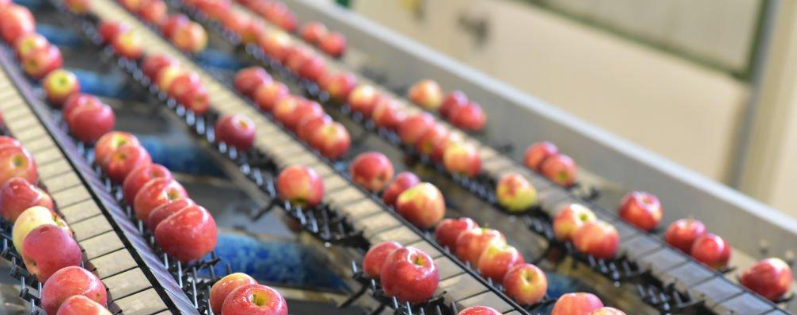 Transformando desafios em inovação: a engenharia por trás de nossos projetos