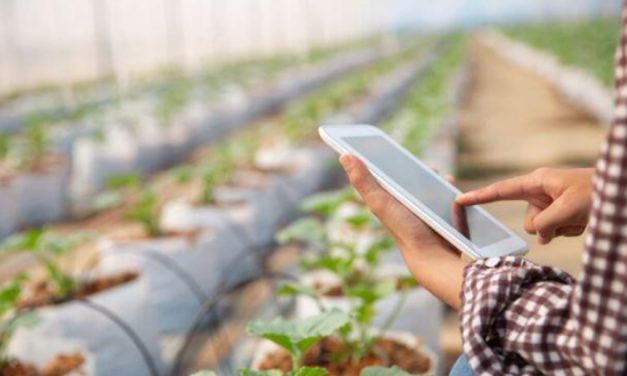 Conectando o campo à indústria: soluções na agricultura do futuro