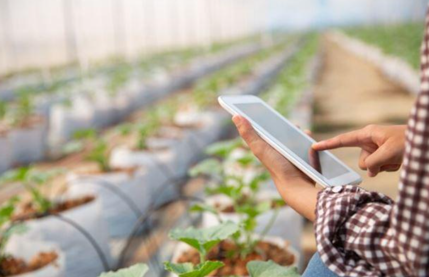 Conectando o campo à indústria: soluções na agricultura do futuro