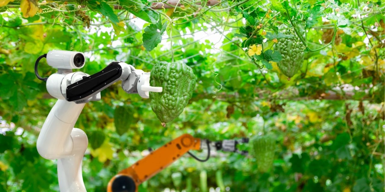 Conheça os benefícios da automação de processos na agroindústria