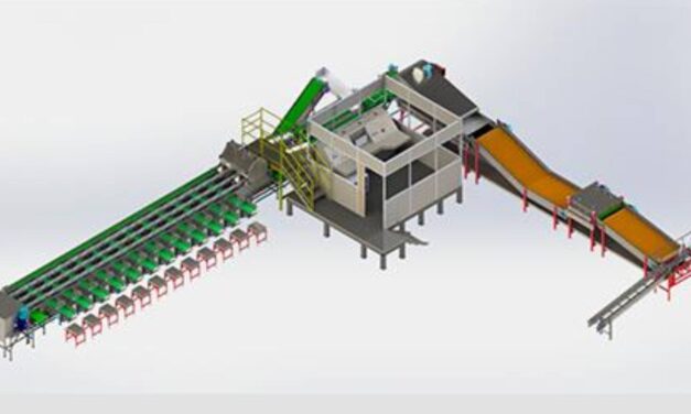 Máquinas para beneficiamento de frutas: o que são, como funcionam e por que investir