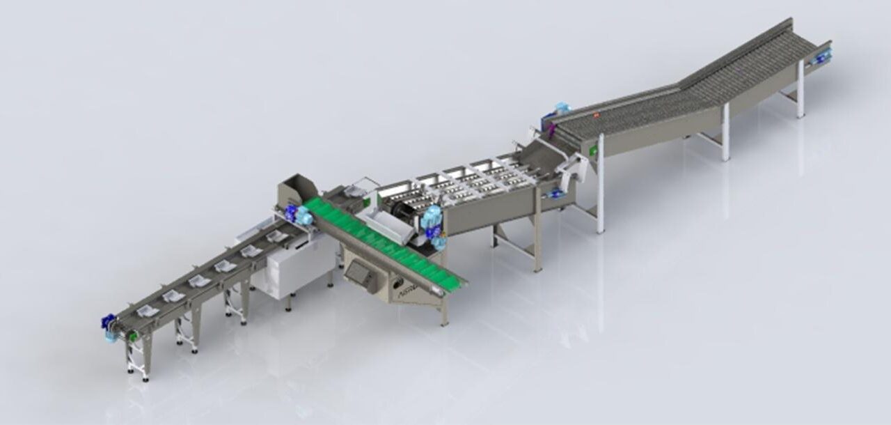 Principais tipos de máquinas para beneficiamento de frutas e suas funções