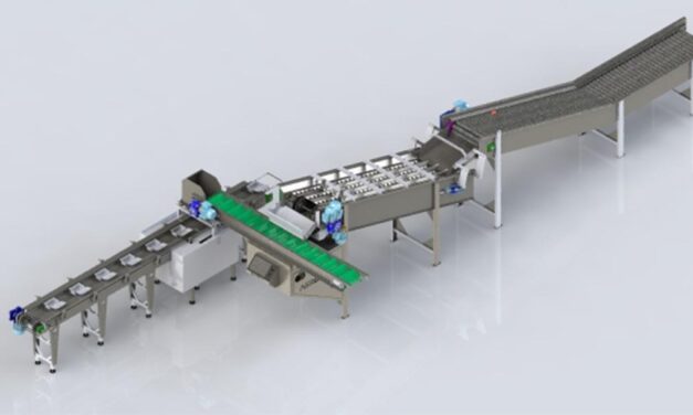 Principais tipos de máquinas para beneficiamento de frutas e suas funções