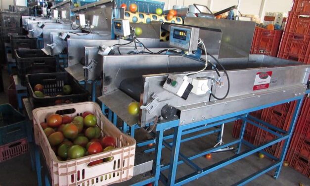 Máquinas para beneficiamento de frutas e hortaliças: conheça os modelos mecânico e elétrico
