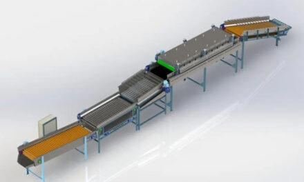 Classificador de frutas por tamanho: como a precisão na seleção aumenta seu lucro