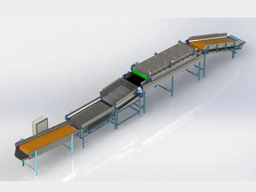 Classificador de frutas por tamanho: como a precisão na seleção aumenta seu lucro